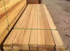 【進口案例】南美菠蘿格進口報關代理